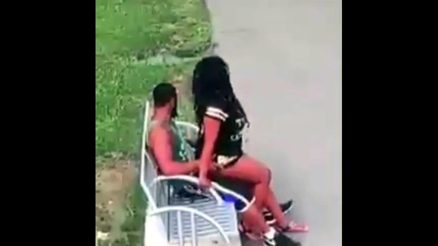 Dark-hued duo boinks on park bench not..